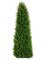 EF-224 4' Outdoor Canadian Cypress Triangular Topiary in Pot Green Indoor/Outdoor (Price is for a 2pc set)