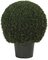 EF-3337    30 inches Tall 22 inches Wide  Mini Tea Leaf  Boxwood Topiary has 2919 leaves and come...