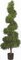 ef-44  5.5 feet Outdoor Spiral Boxwood Topiary 20 inches Thick