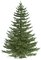 7.5' Ballard Spruce Christmas Tree  2,114 Green Tips - 66" Width - Metal Stand