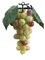 EF-552GR  7 inches Round Grape x51 Green Rose (Price is for a Per Dozen Set)