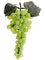 EF-409   	9 inches Round Grapes x69  Green  (Price is for a Dozen Set)