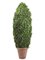 EF-485  8' Cone-Shaped Grass/Ivy Leaf Topiary in Polyresin Pot Green  Indoor/Outdoor