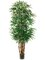 EF-766   7.5' Lady Palm Tree x7 w/1003 Lvs. in Pot Two Tone Green  (Price is for a 2pc Set)