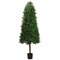 EF-265  	5.5 feet Outdoor Cone-Shaped Boxwood Topiary in Plastic Pot Two Tone Green Outdoor/Indoo...