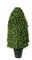 EF-8313  40 inches Outdoor Boxwood Dome Topiary Outdoor/Indoor