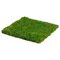 EF-016  12"Wx12"L Preserved Grass Mat  Green  (Price is for a 12 pc set)