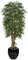 W-70308 8' Orange Jasmine Tree - Natural Trunk - 16,056 Green Leaves - 35" Width - Weighted Base