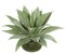 AUV-102180 17" Outdoor Plastic Agave Base Plant - 22 Green Leaves - 24" Width