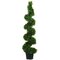 EF-365  	5' Jade Plant Spiral Topiary in Black Plastic Pot Green (2 PC SET)