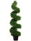 EF-364   	4' Jade Plant Spiral Topiary in Black Plastic Pot Green (2 PC SET)
