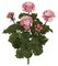 A-144101 Polyblend (Plastic) UV Rated Outdoor Material 16" Geranium Bush - 3 Flowers - 2 Buds - Tutone Pink -12" Width - Bare Stem