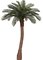 A-154340 6' Outdoor Cycas Palm Tree - 24 Fronds - Custom Made