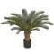 30 inches Plastic Outdoor Baby Cycas Palm - 22 Green Fronds - 36 inches Width