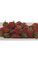 Plastic Strawberries - 15 pieces per Bag - Red