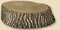 Length: 19 x Width: 17 x Height: 5 inch Tree Stump 