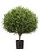 Outdoor Ball Shaped Lavender Leaf Topiary