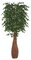 7' Ficus Tree - Natural Trunks - Custom Made