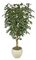 8 feet Ficus Tree - Natural Trunks - 2,280 Leaves - Green