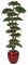 10' Podocarpus Shelf Tree - Natural Trunks - 18,396 Green Leaves