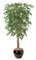7' Silver Birch Tree - Natural Trunks - 3,744 Leaves - Green