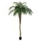 8' Potted Pheonix Palm Tree 1095Lvs