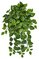 41 Inches Firesafe Variegated Pothos Bush