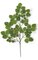 29 inches Aspen Branch - 58 Green Leaves - 19 inches Width - FIRE RETARDANT