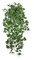 36 Inch Or 45 Inch Firesafe Boston Ivy Bush