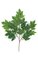 29 Inch  Sycamore Branch - 21 Leaves - Green - FIRE RETARDANT