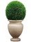 45"Hx23"Wx23"L Large Preserved Boxwood Ball in Cement Planter Green