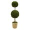 4’ Preserved Boxwood Double Ball Topiary Tree In Planter