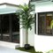 10 Foot Outdoor UV Resistant Artificial Double Robellini Palm Tree (Indoor/Outdoor)