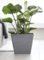 15.7" X 15.7" 13" H Square Planter Grey