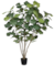5' Artificial Green Potted Fiddle Tree