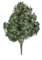 49 inches Outdoor UV Mahonia Bush - Cream/Green