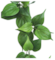 6 FOOT FIRESAFE PHILODENDRON GARLAND