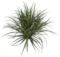 28 inches Outdoor Polyblend Liriope - Tutone Green