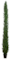 12 Foot Outdoor UV Resistant Artificial Italian Cedar Pine Tree Outdoor