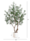 6’ Artificial Grand Olive Tree In White Decorative Planter
