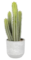 15.5" Artificial Green Cactus in Concrete Pot