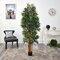 5.5' Phoenix Artificial Palm tree with Natural Trunk