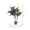 30" Real Touch Dracaena in pot