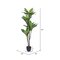 60" Real Touch Dracaena x 5 w/68 lvs in