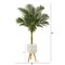 5’ Golden Cane Artificial Palm Tree In White Planter With Stand