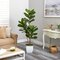 5.5' Fiddle Leaf Artificial Tree in White Metal Planter UV Resistant (Indoor/Outdoor)