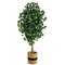 6’ Ficus Artificial Tree With Natural Trunk In Handmade Natural Cotton Planter