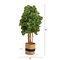 5' Fiddle Leaf Fig Artificial Tree in Handmade Natural Cotton Planter