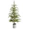 5.5' Pre-Lit Pine Artificial Christmas Tree in Decorative Planter with 150 Lights