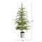 5.5' Pre-Lit Pine Artificial Christmas Tree in Decorative Planter with 150 Lights